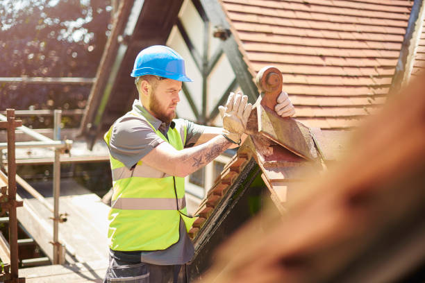 Best Metal Roofing Contractor  in Newark, NY