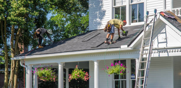 Best Roof Maintenance Services  in Newark, NY